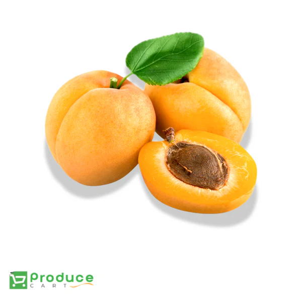 Product 9724667658536 Image