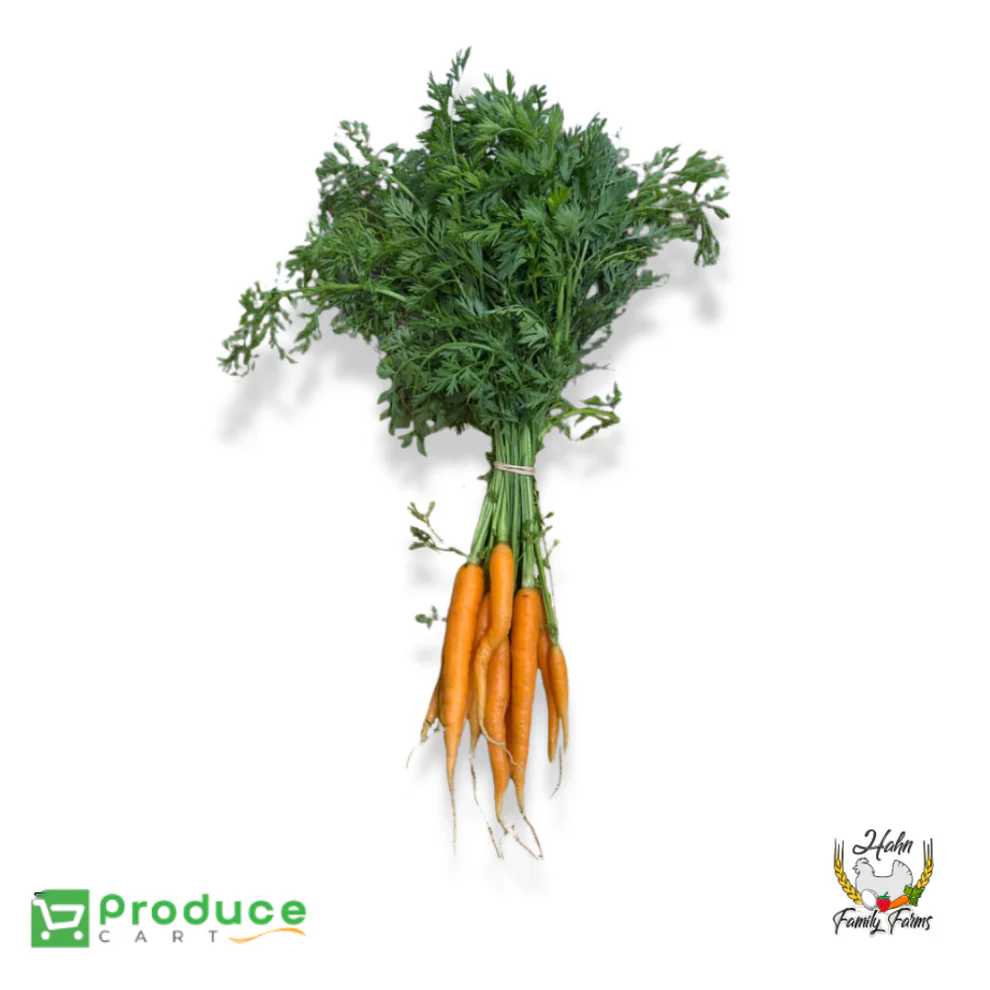Product 9724668707112 Image