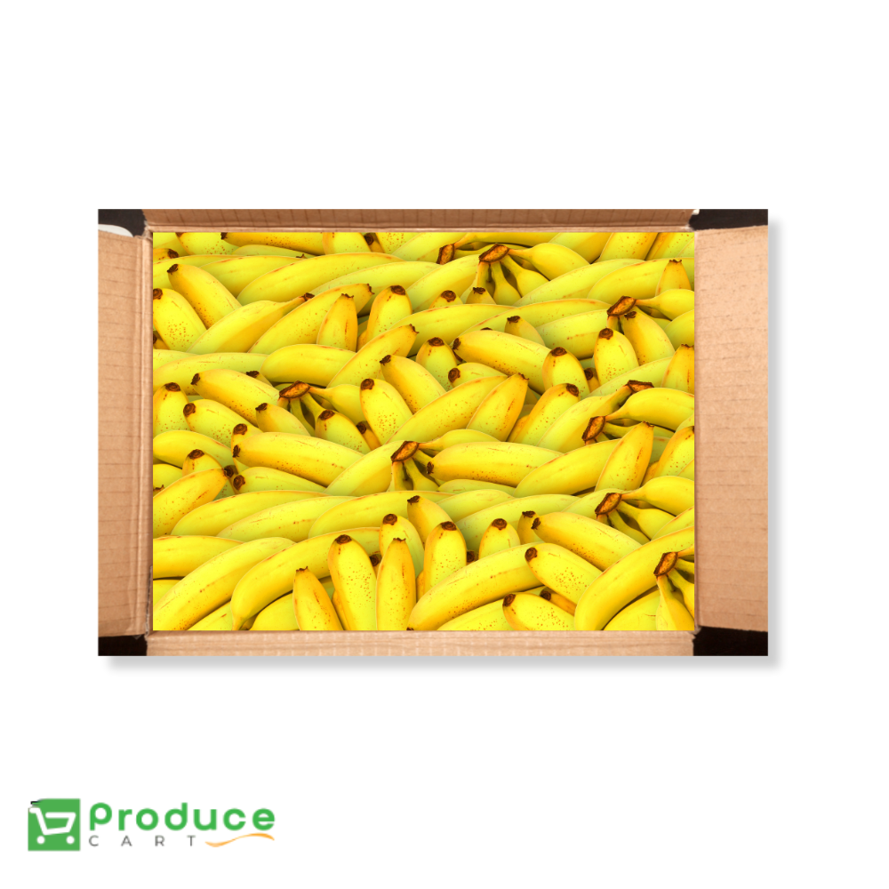 Product 9724665004328 Image