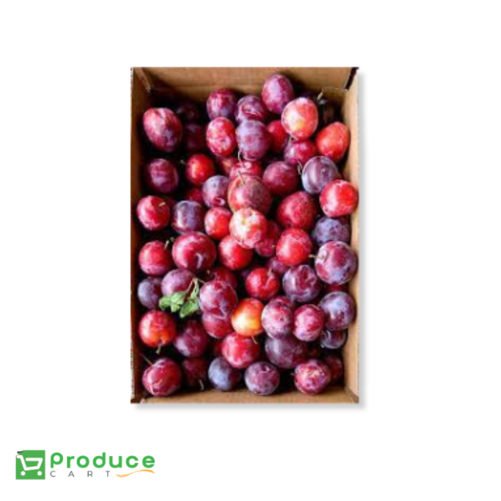 Product 9724657828136 Image