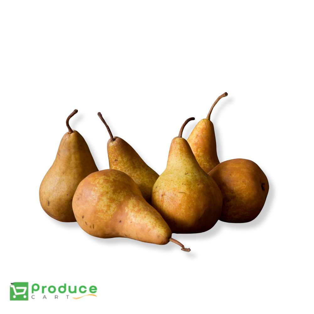 Product 9724665528616 Image
