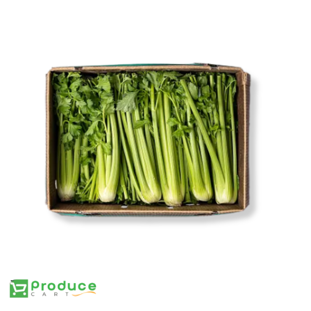 Product 9724658319656 Image