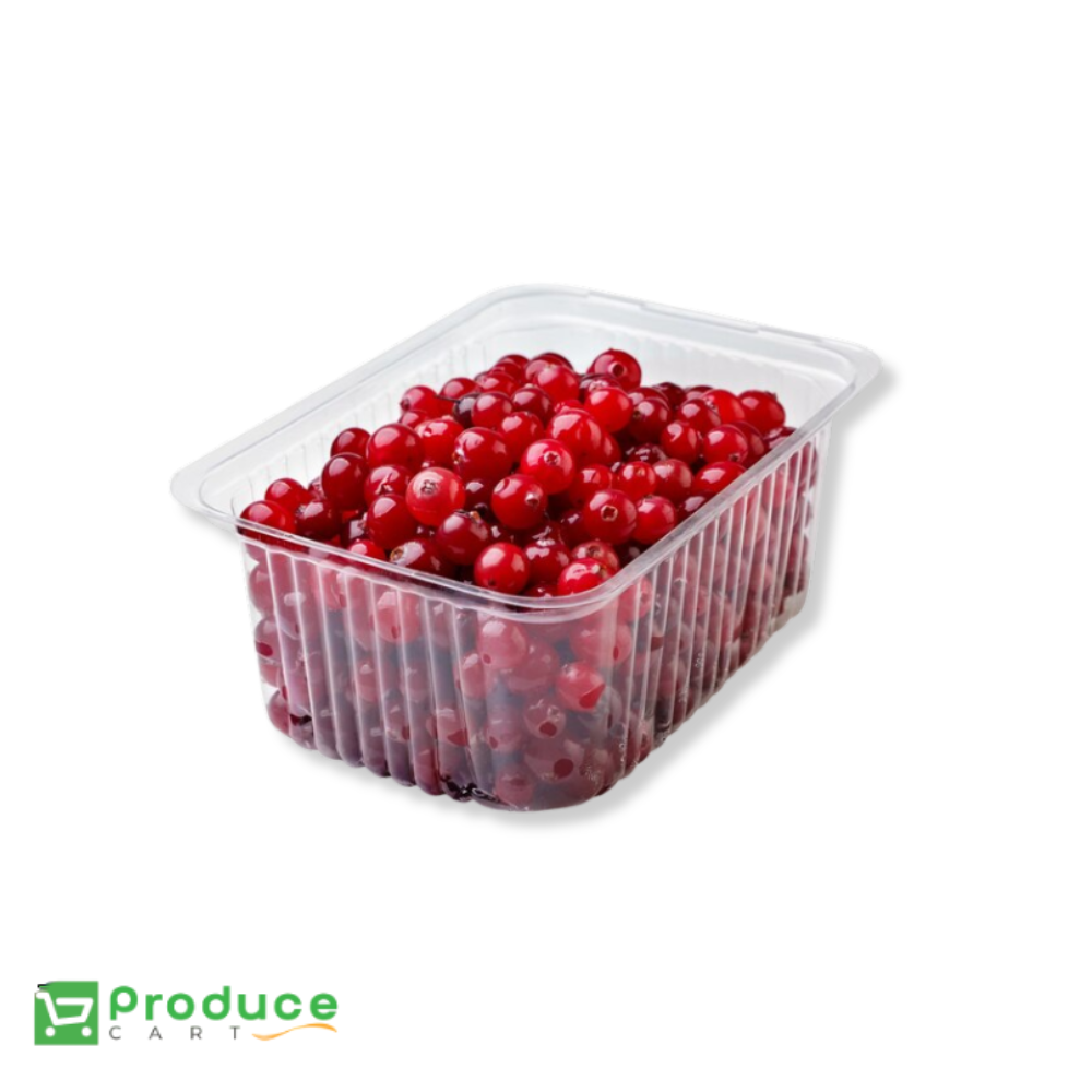 Product 9724658581800 Image