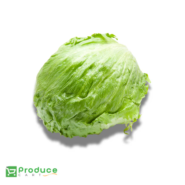 Product 9724657991976 Image
