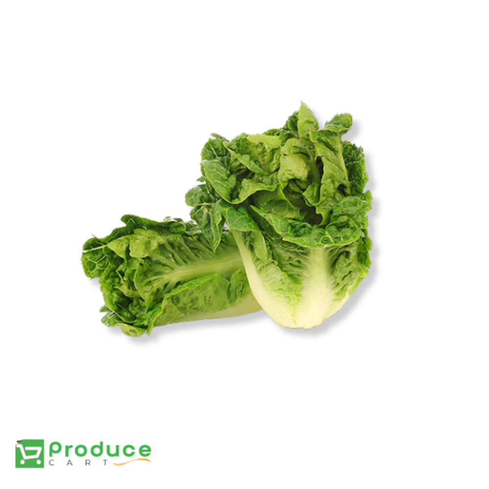Product 9724659597608 Image