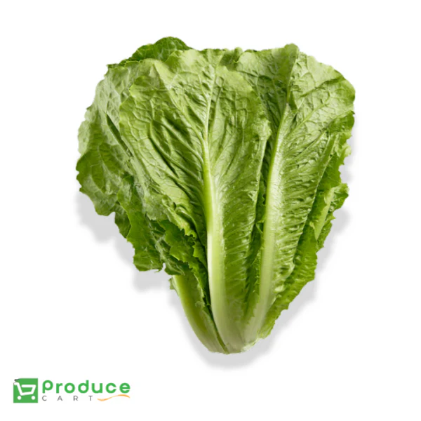 Product 9724653273384 Image