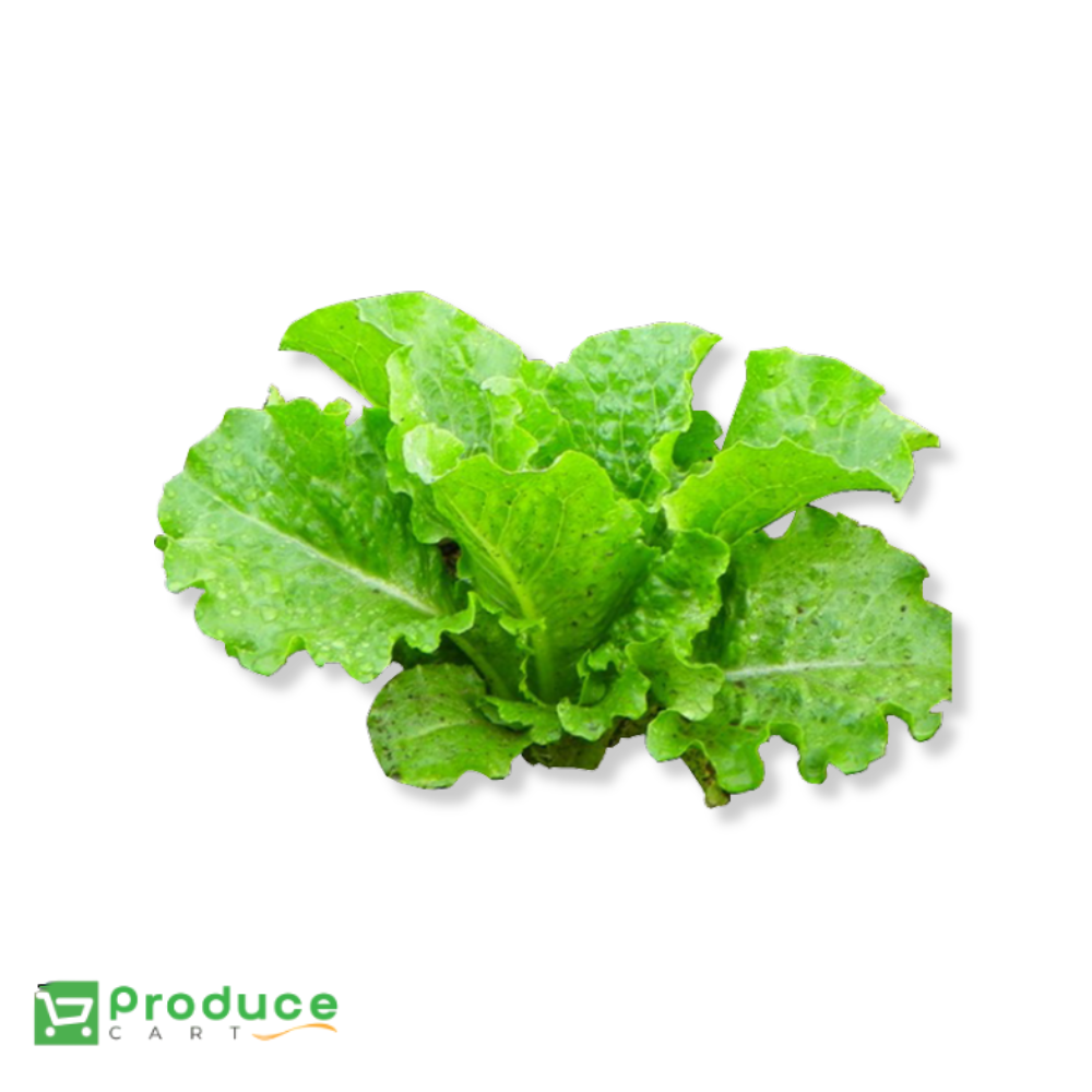 Product 9724668412200 Image