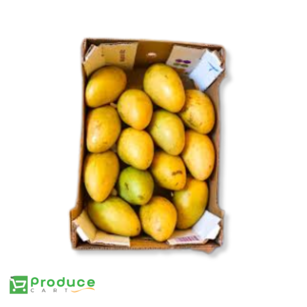 Product 9724650946856 Image