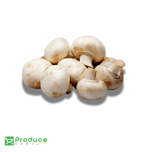 Product 9724651405608 Image