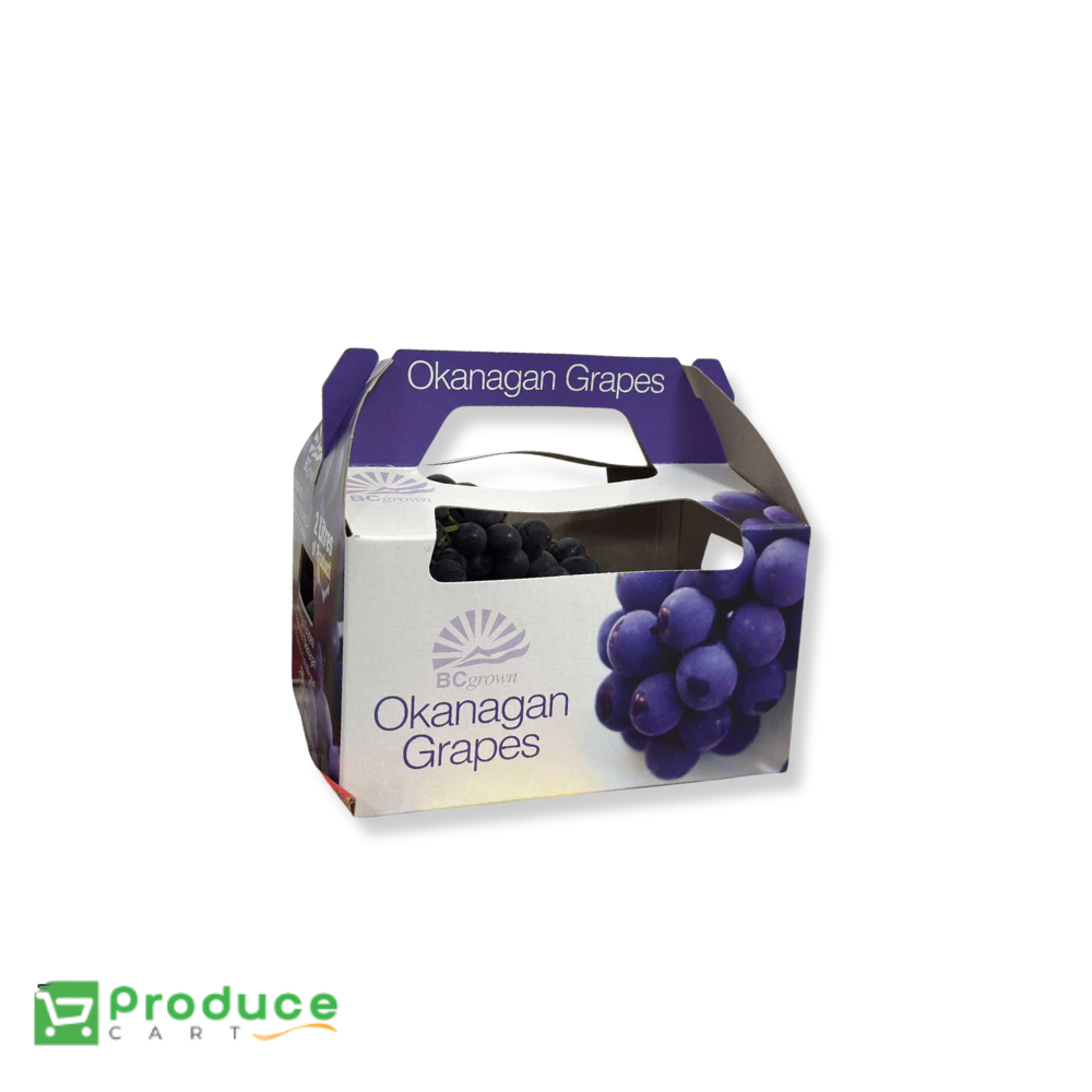 Product 9786087178536 Image