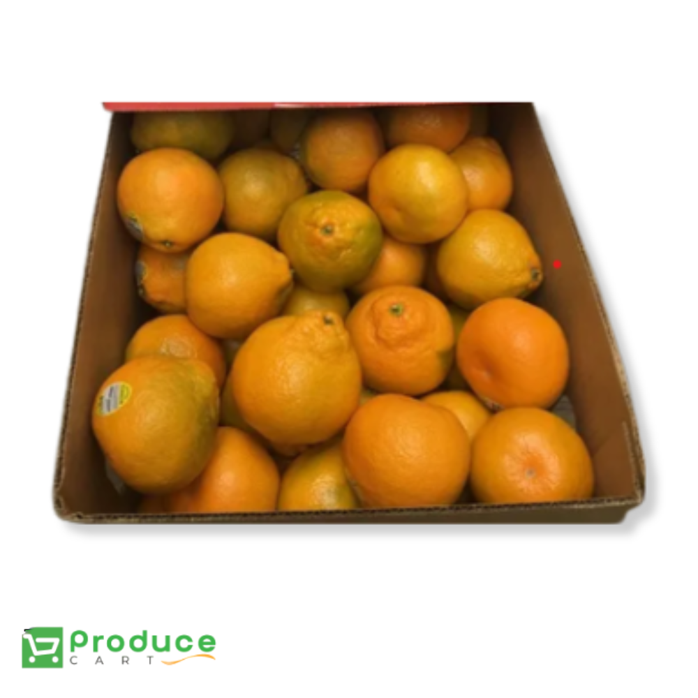 Product 9724666937640 Image