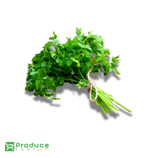 Product 9724652257576 Image