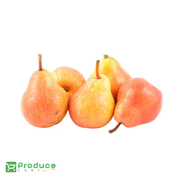 Product 9724658483496 Image