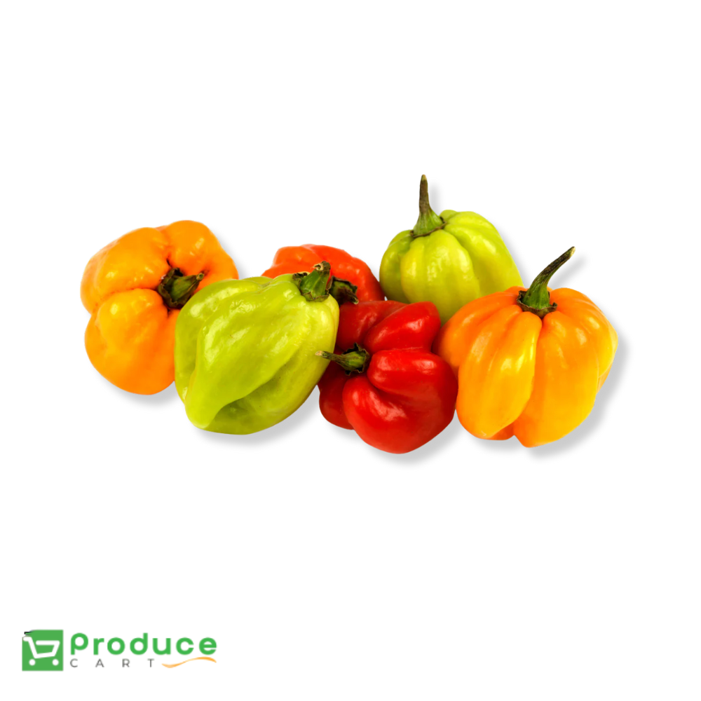 Product 9724652978472 Image