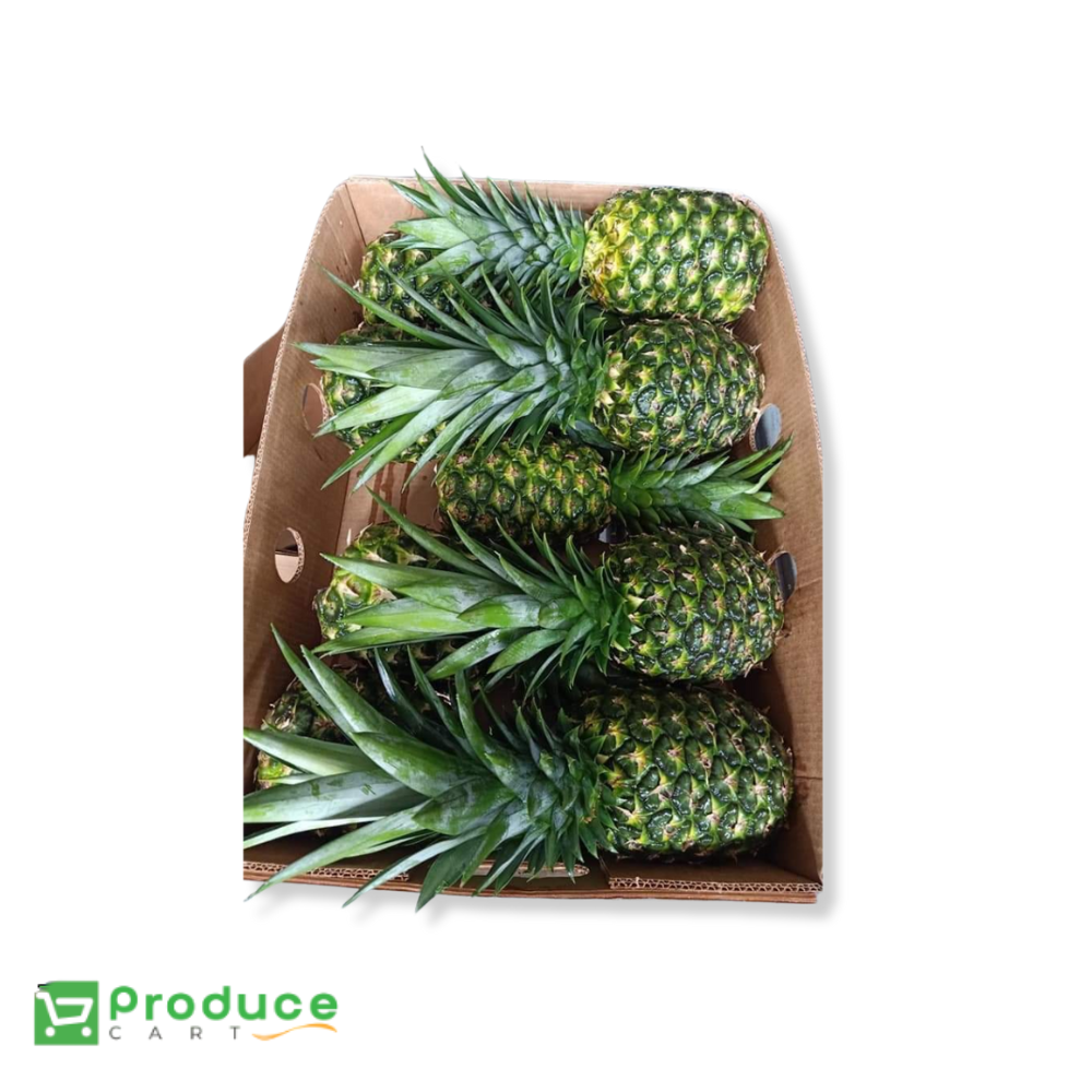 Product 9724655042856 Image