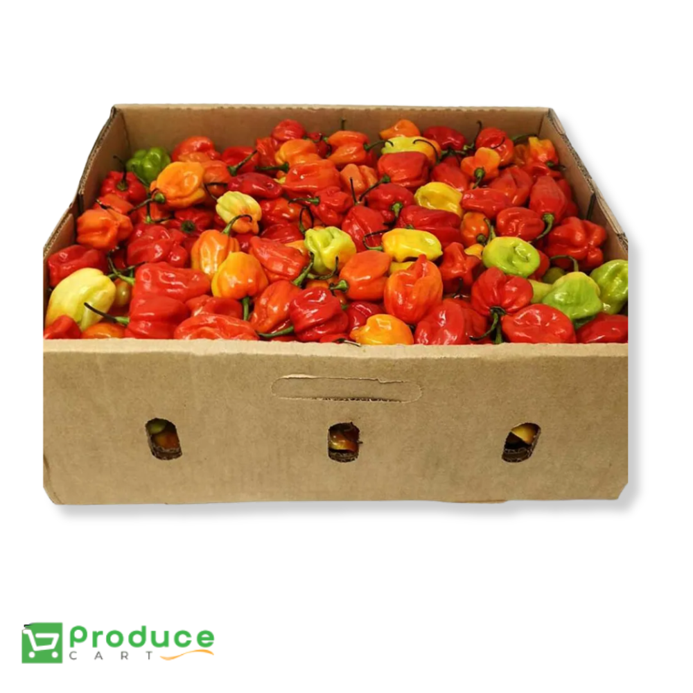 Product 9724654944552 Image