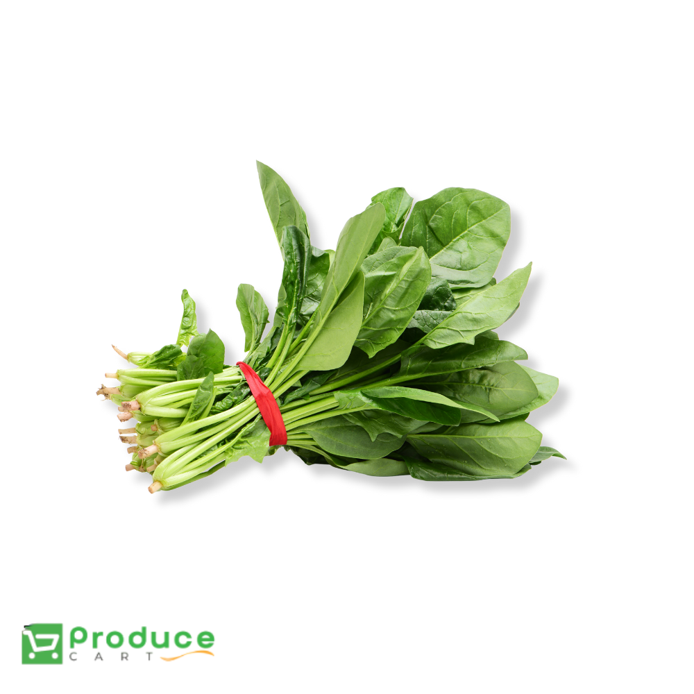 Product 9724651602216 Image