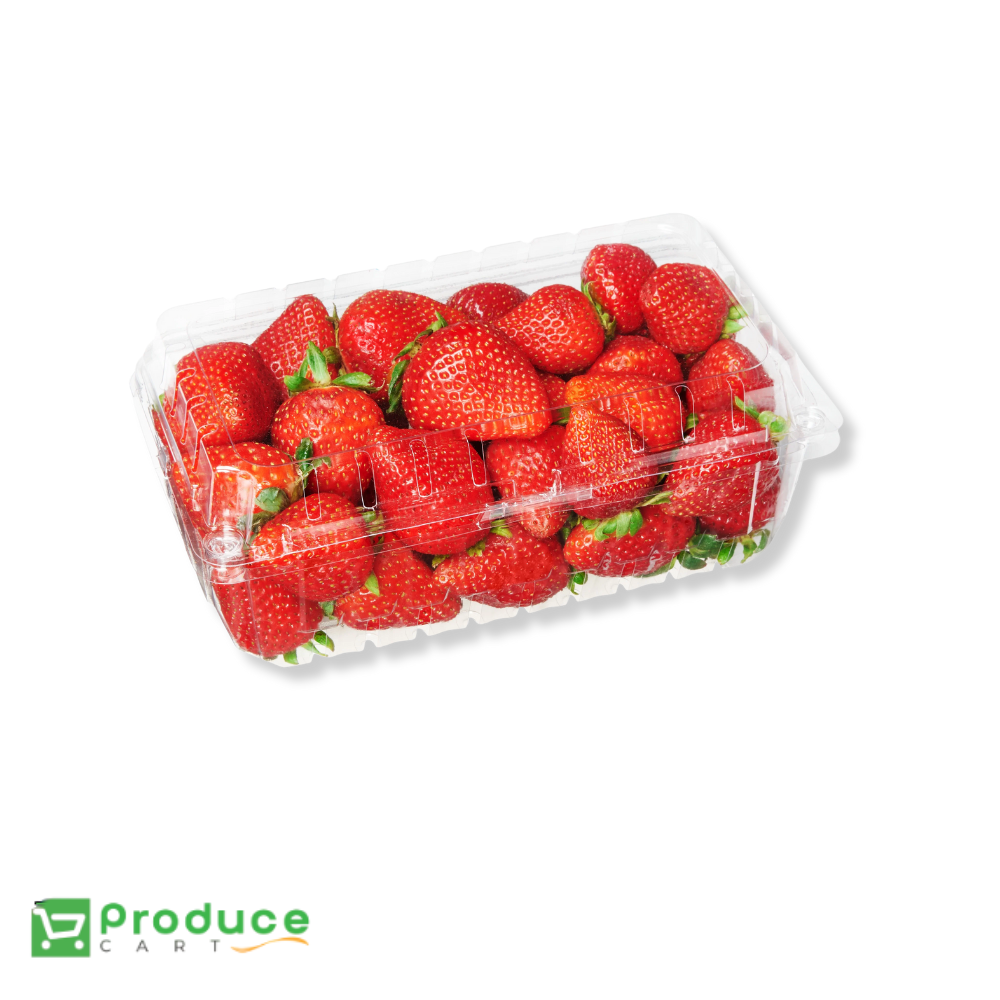 Product 9724664119592 Image