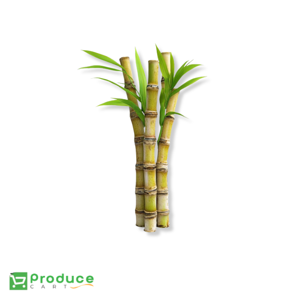 Product 9724660777256 Image