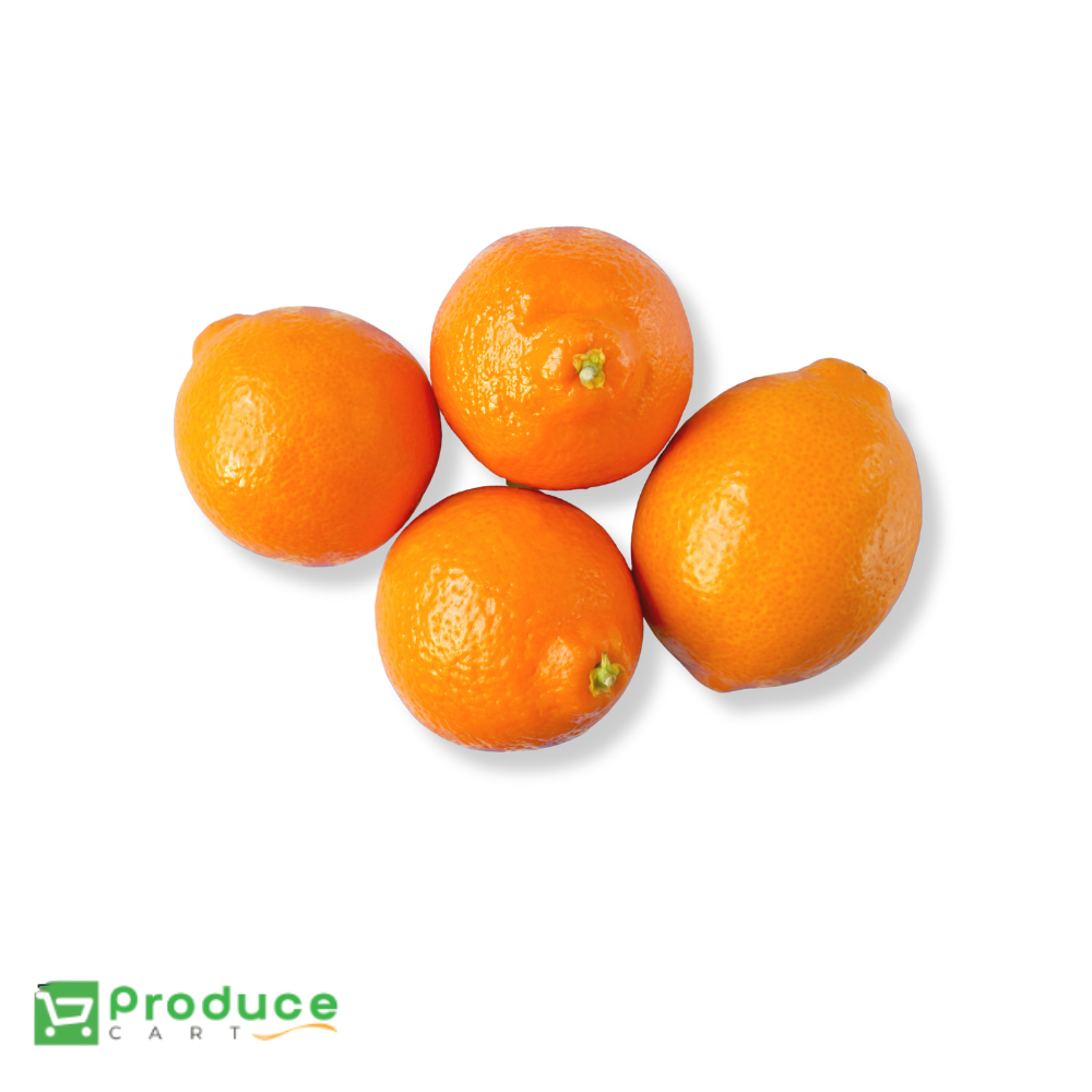 Product 9724660089128 Image
