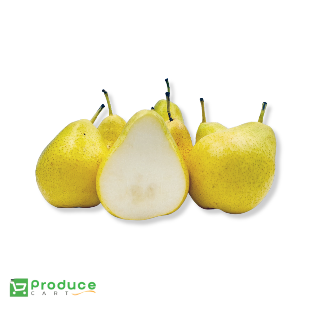 Product 9724667986216 Image