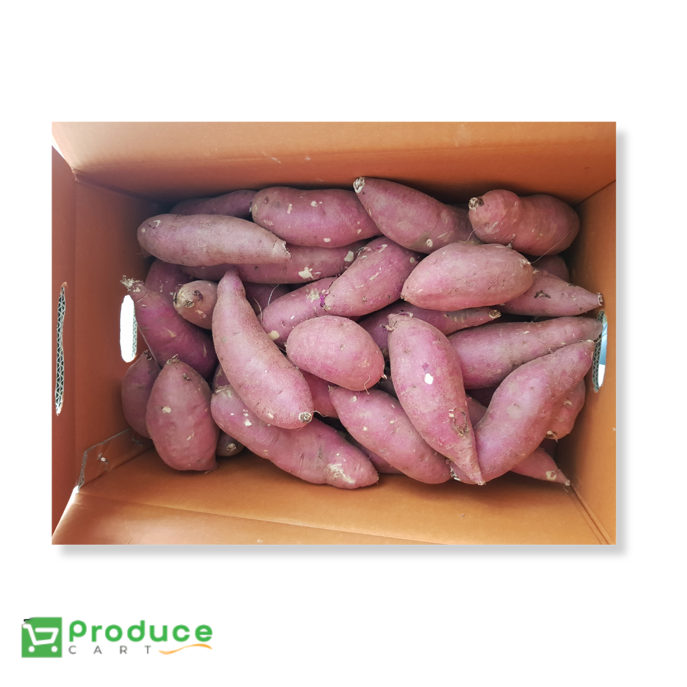 Product 9724655698216 Image
