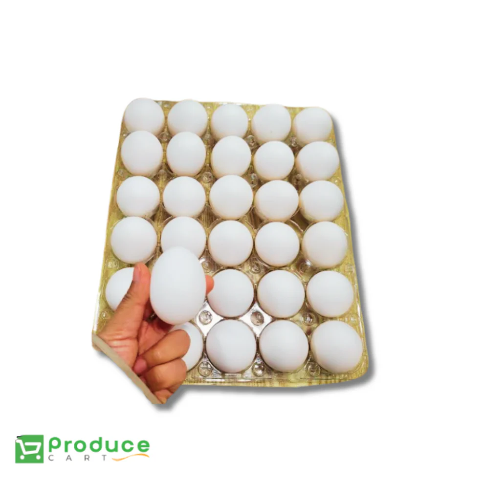 Product 9724655993128 Image