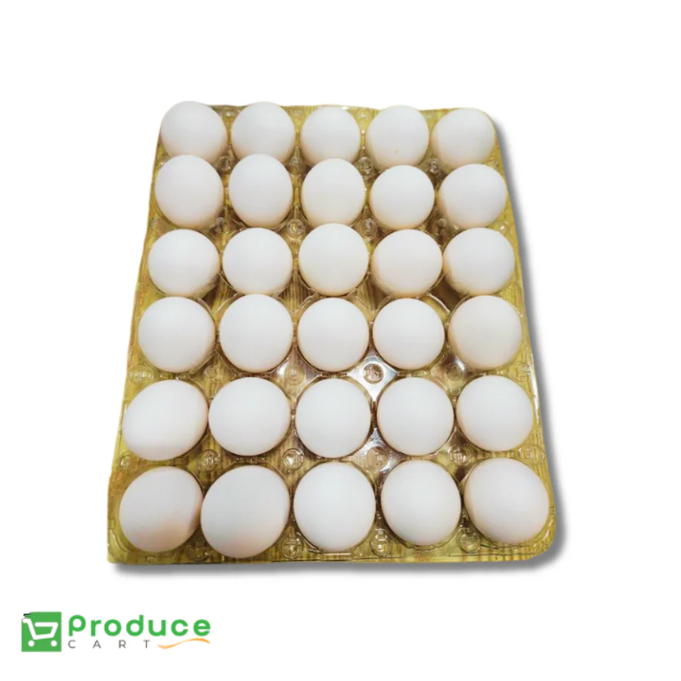 Product 9724655993128 Image
