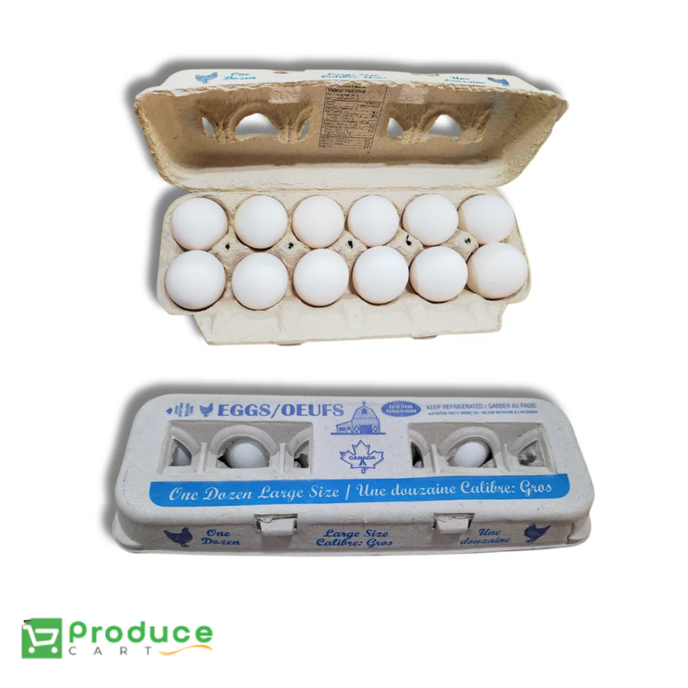 Product 9724655927592 Image