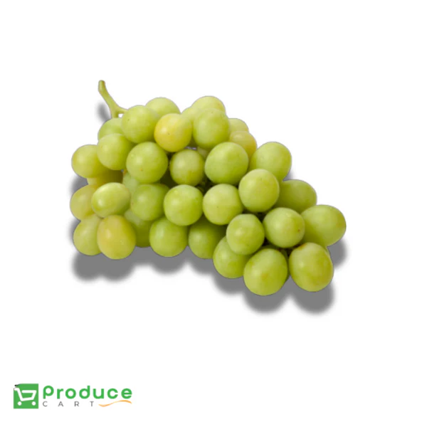 Product 9724649275688 Image