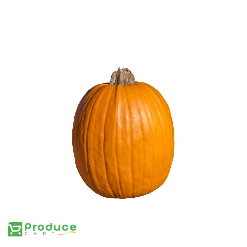 Product 9838622277928 Image
