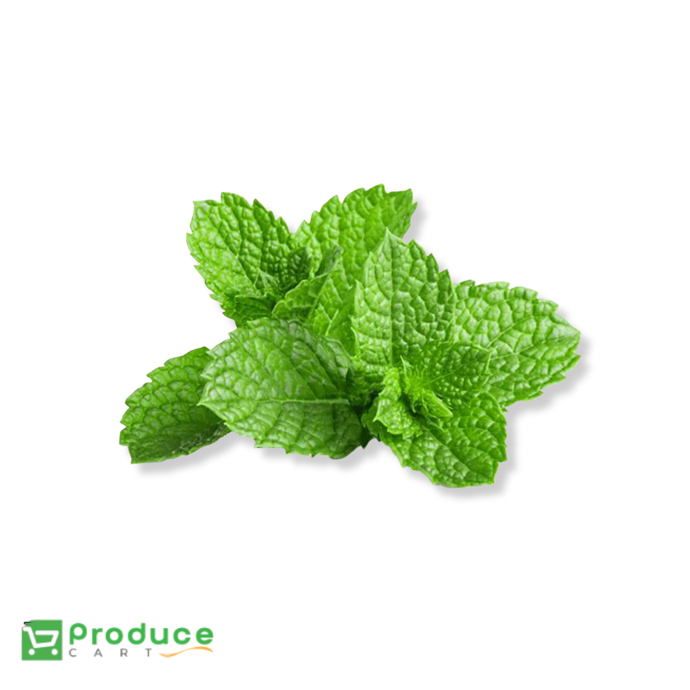 Product 9724651372840 Image