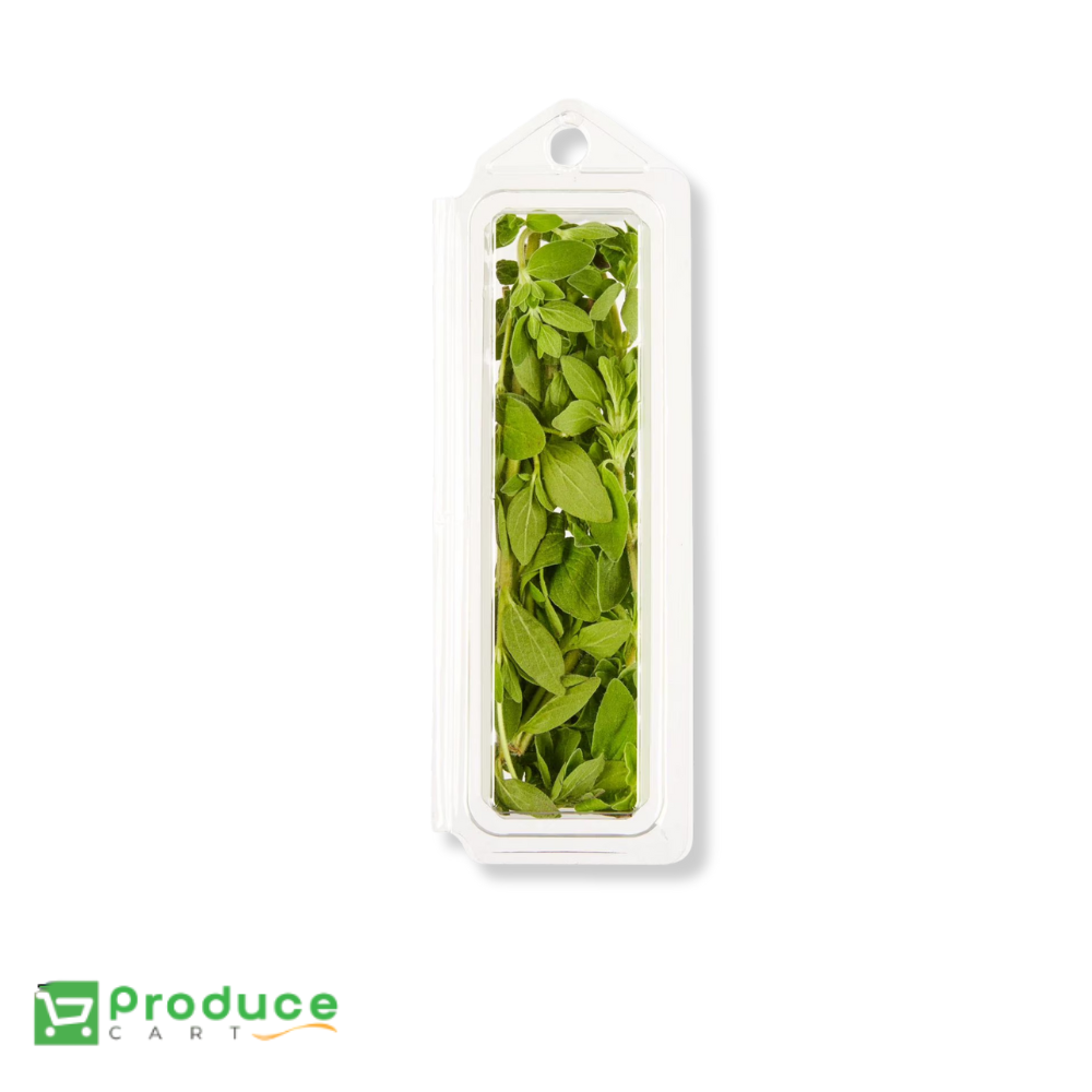 Product 9724654682408 Image