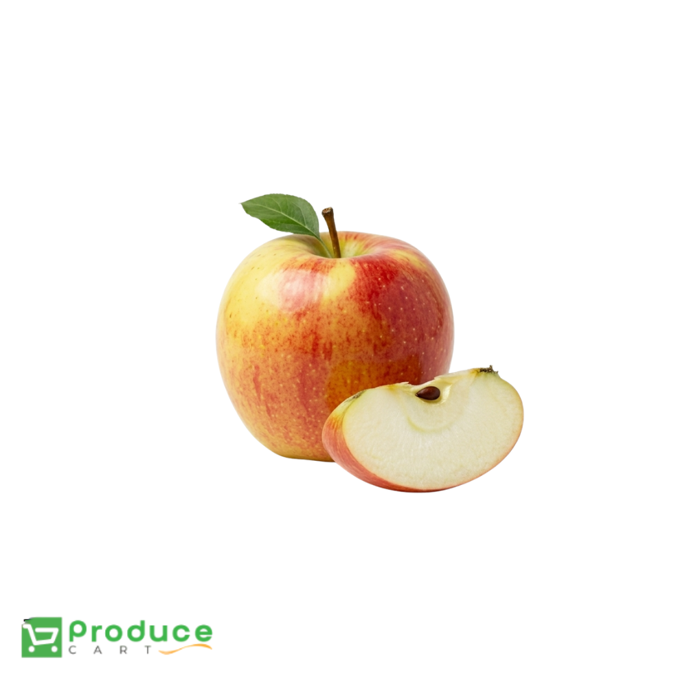 Product 9845446377768 Image