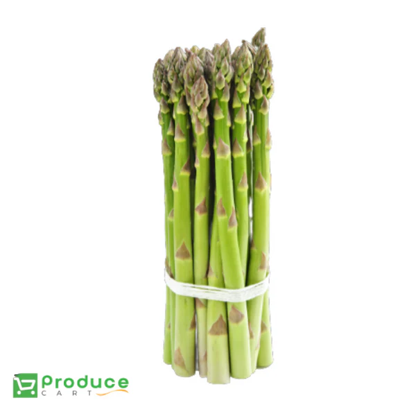 Product 9724666511656 Image