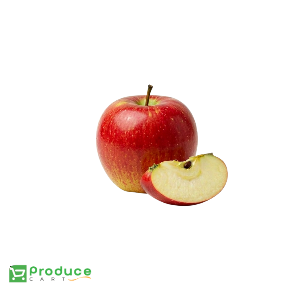 Product 10121187983656 Image