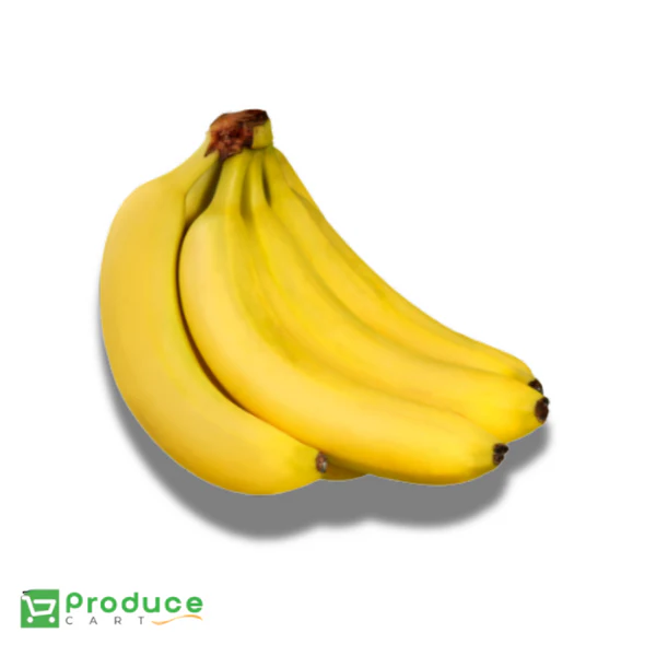 Product 9724649144616 Image