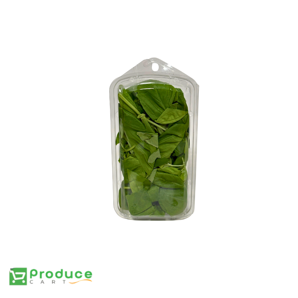 Product 10142213341480 Image