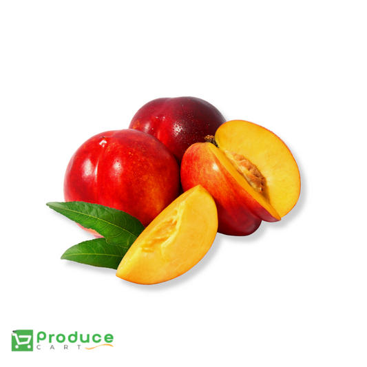 Product 9728805241128 Image