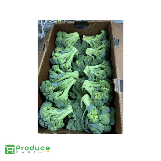 Product 9724658024744 Image