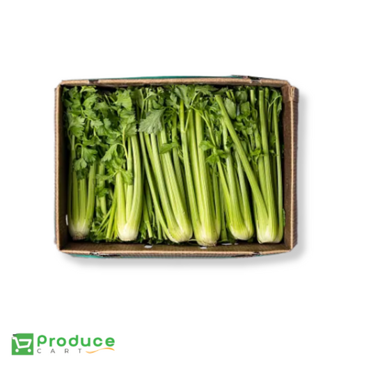 Product 9724658319656 Image