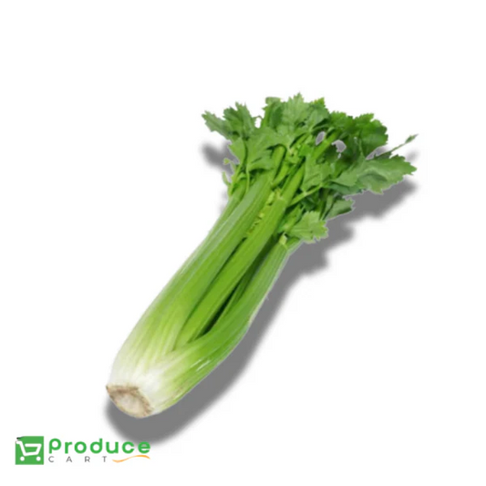 Product 9733760778536 Image