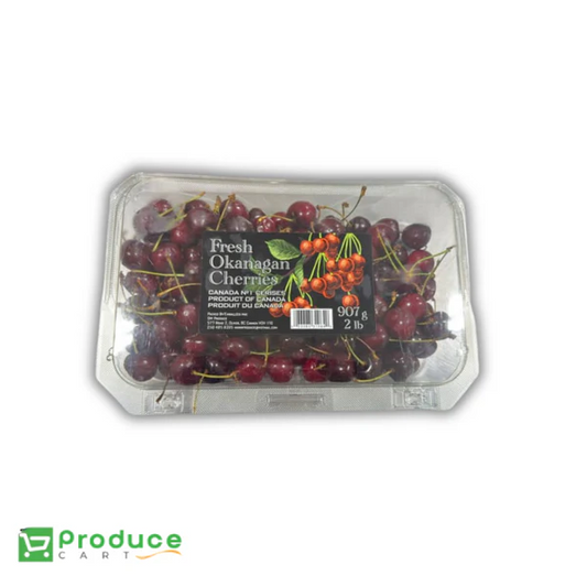 Product 9728070582568 Image
