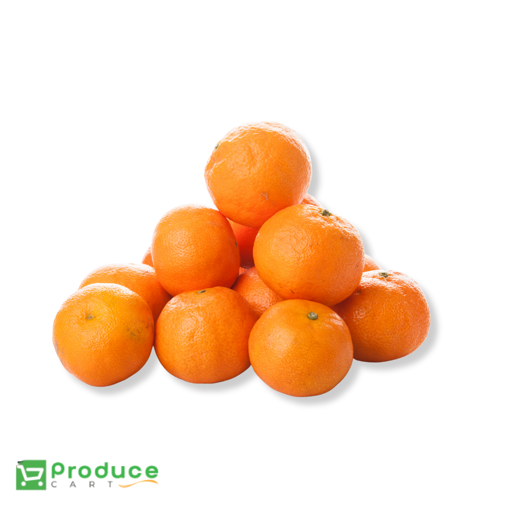 Product 9724662350120 Image