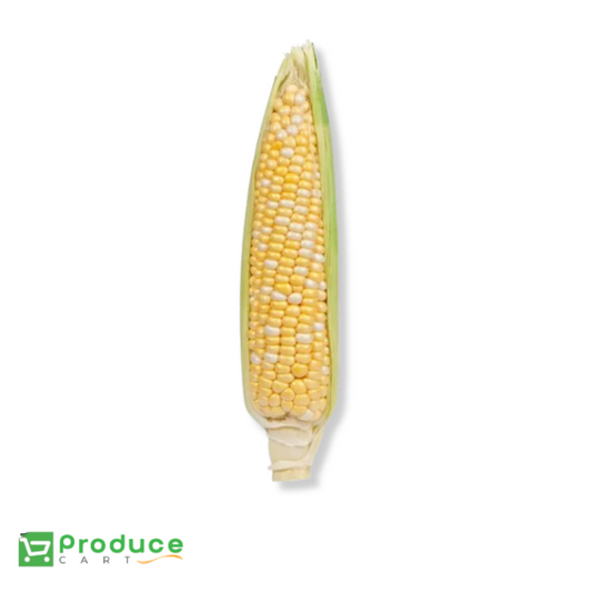 Product 9783611949352 Image