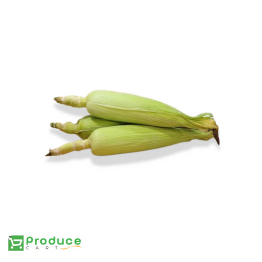 Product 9724652290344 Image