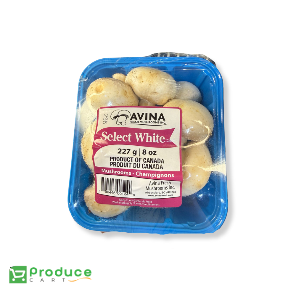 MUSHROOM WHITE 227g (CLAM)