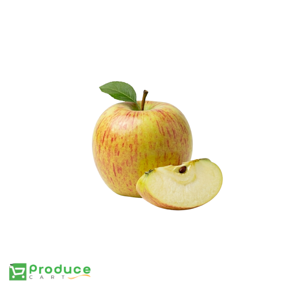 Product 10100834926888 Image