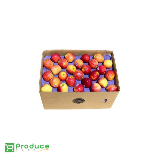 Product 9724657729832 Image