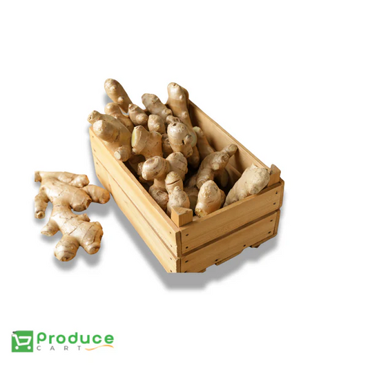 Product 9724655501608 Image